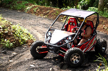 Bali Buggy and Ubud Tour Packages