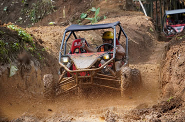 Bali Buggy and Swing Packages