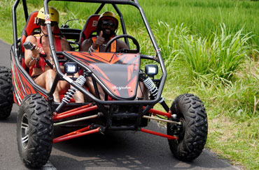 Bali Buggy and Cycling Packages