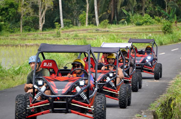 Bali Buggy